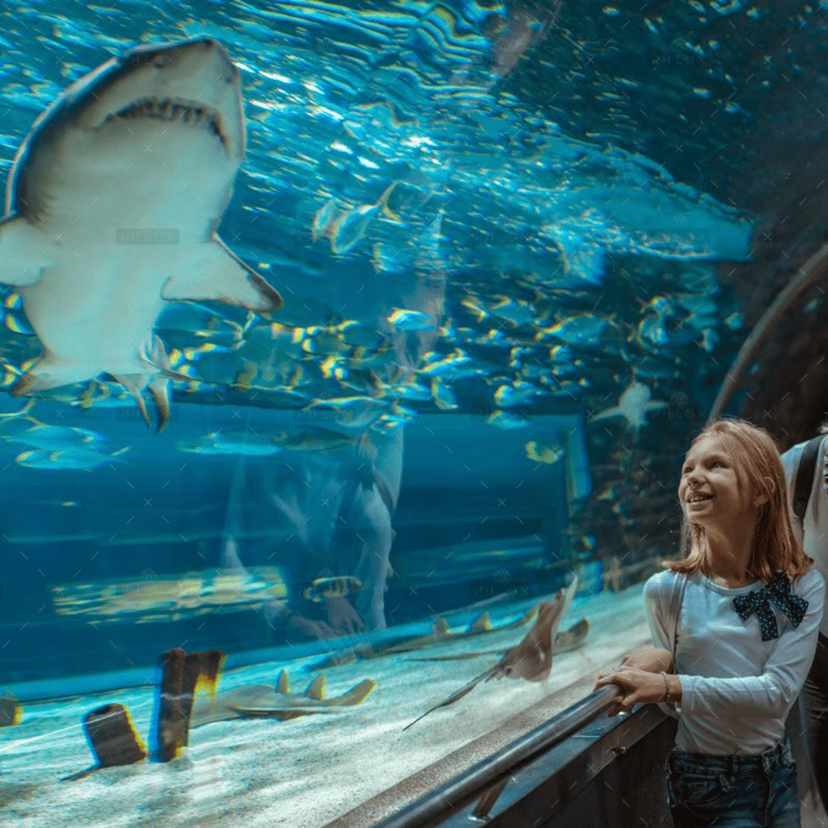 about-semmozhi-poonga