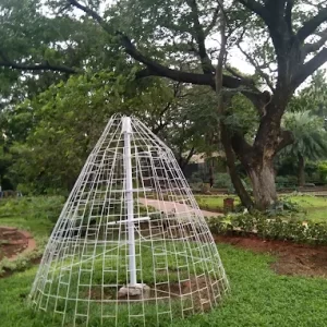 unnamed - 2025-05-10T184526.655