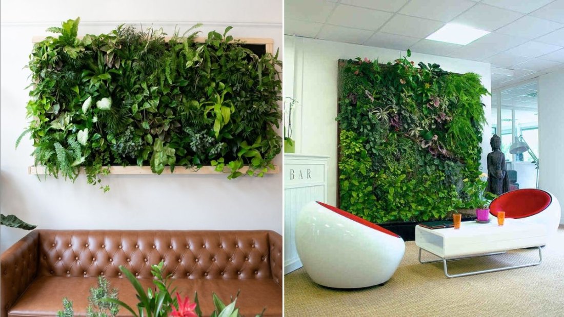  How to Build a DIY Green Wall for Indoors