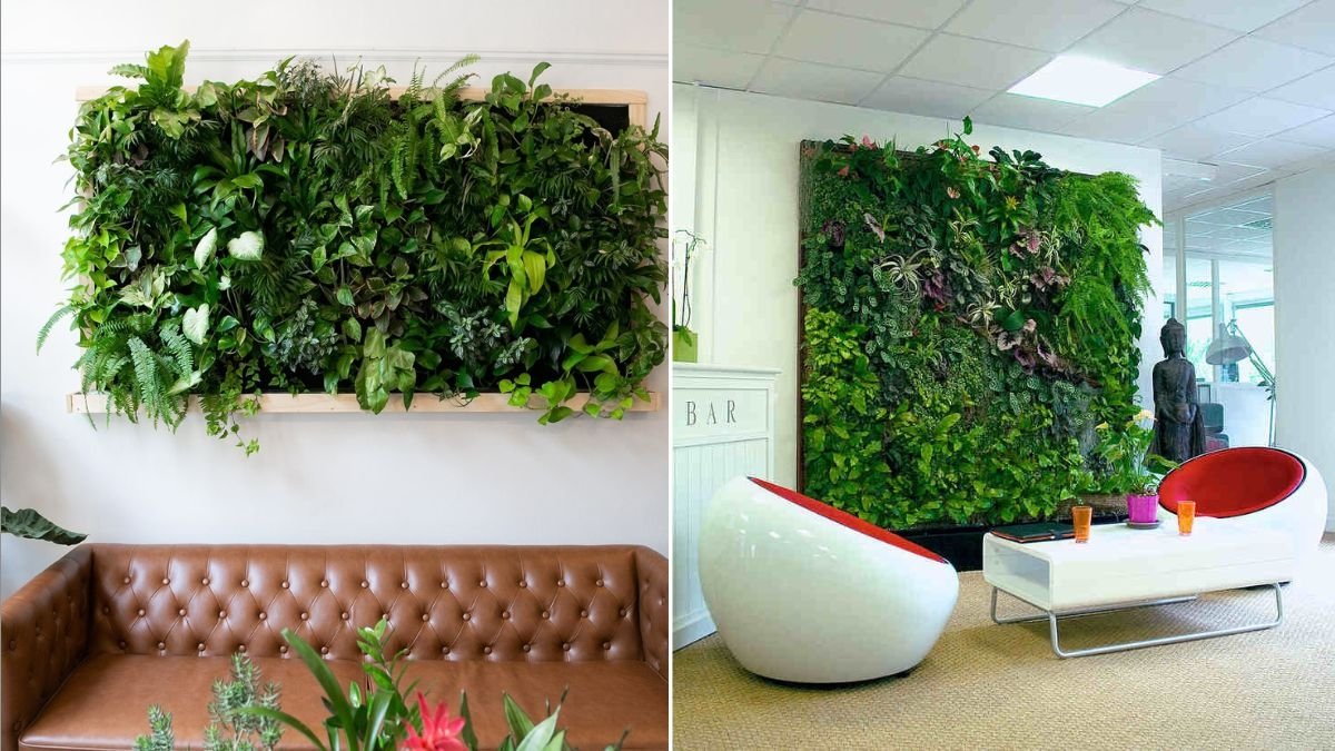  How to Build a DIY Green Wall for Indoors