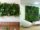  How to Build a DIY Green Wall for Indoors