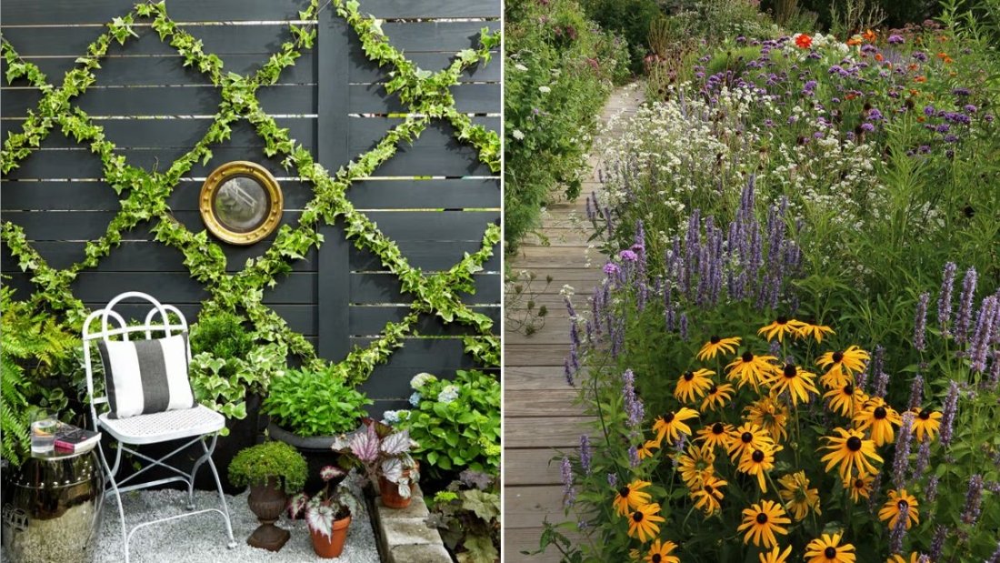  How to Start a Pollinator Garden on a Budget
