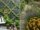  How to Start a Pollinator Garden on a Budget