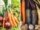8 Vegetables That Can Survive Frosts