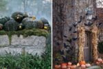 4 Best Outdoor Garden Halloween Decoration Ideas