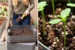 How to Fertilize Your Plants Naturally