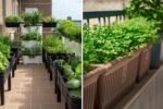 How to Start a Balcony Garden from Scratch