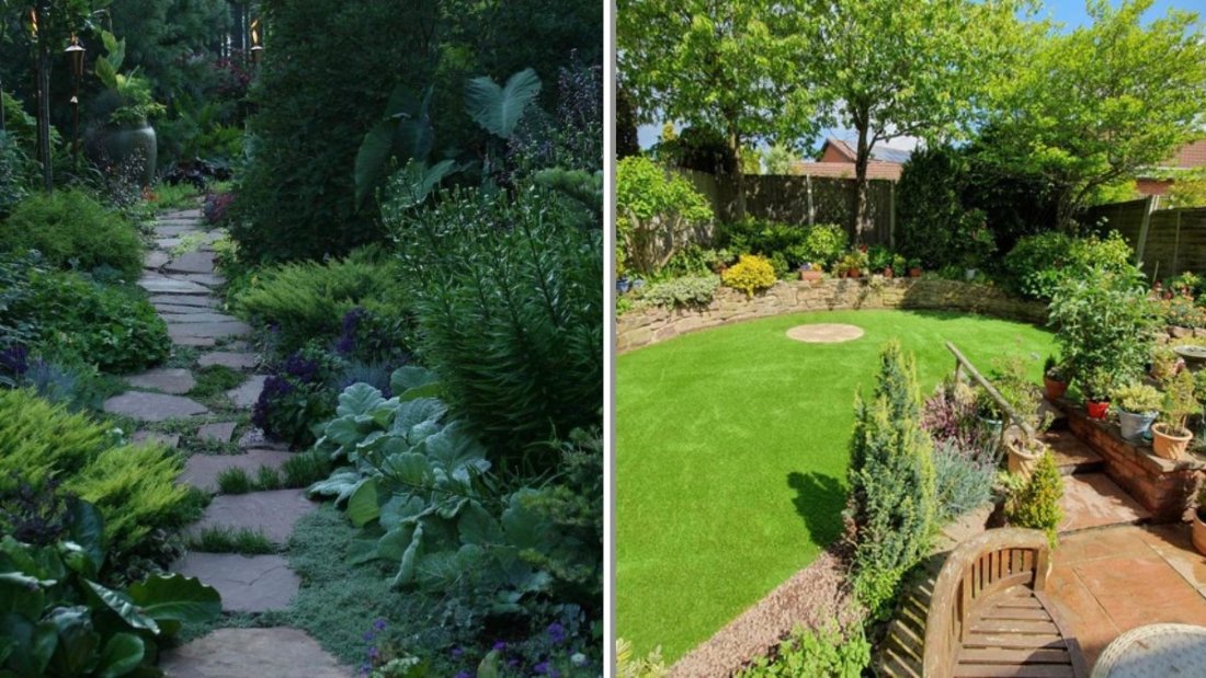 How to Create a Wildlife-Friendly Yard on a Budget