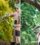 How to Tell If Your Tree Needs Professional Pruning