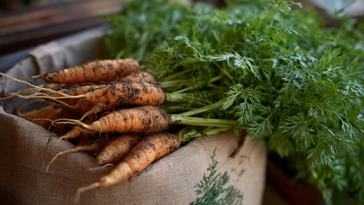 How to Grow Carrots at Home: Carrot Types, Benefits, Nutrition, Juice & Recipe Ideas