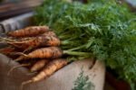 How to Grow Carrots at Home: Carrot Types, Benefits, Nutrition, Juice & Recipe Ideas