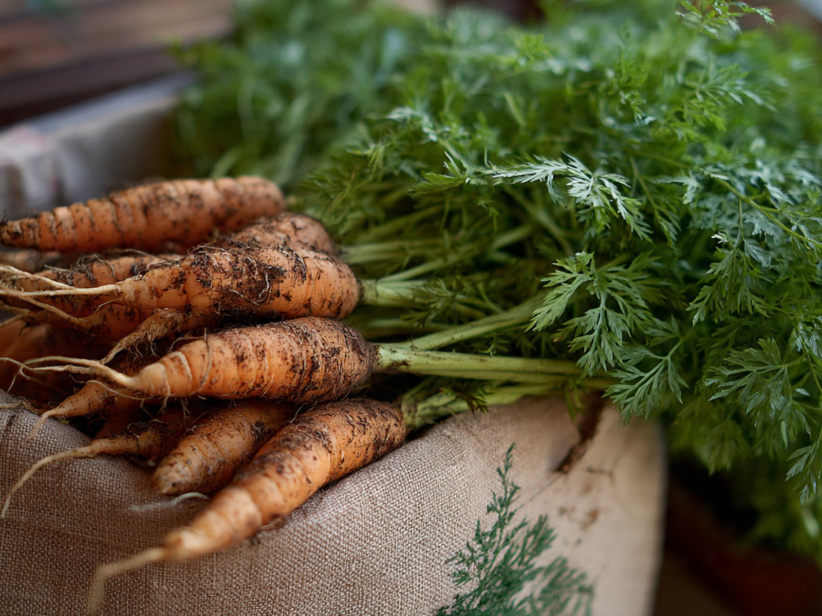 How to Grow Carrots at Home: Carrot Types, Benefits, Nutrition, Juice & Recipe Ideas